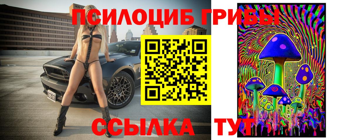 Вичуга  как найти   Вход с VPN  Галлюциногенные грибы Cubensis 